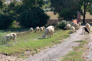 هتل Azienda Agricola Bio Sanbonaventura