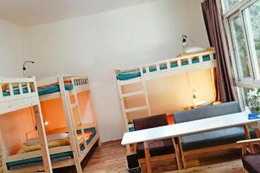 The Moon Bird Hostel