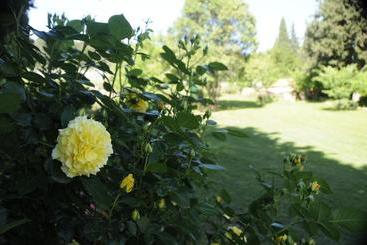 تختخواب و صبحانه Bastide Du Pin