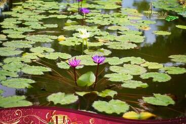 هتل Amata Garden Resort Bagan