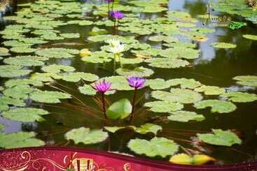 هتل Amata Garden Resort Bagan