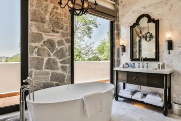 هتل Banyan Tree Puebla