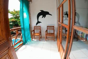 Lobo Hostel   Rurrenabaque