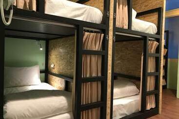 Tourist Bunny Hostel