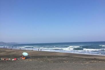 تختخواب و صبحانه South Bird Inn