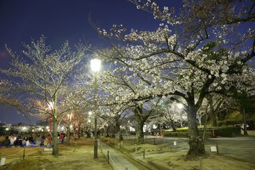 هتل Monterey Himeji