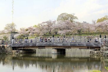 هتل Monterey Himeji