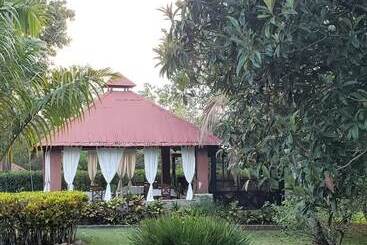 تختخواب و صبحانه Rancho Pino Y Sol