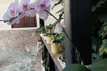 تختخواب و صبحانه Rancho Pino Y Sol