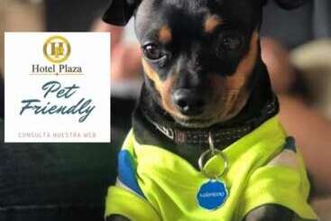 هتل Plaza Ca