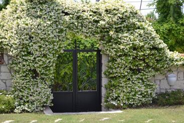 هتل Nea Garden