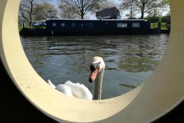 هتل Barge Waternimf