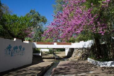 تختخواب و صبحانه Termas Da Sulfurea