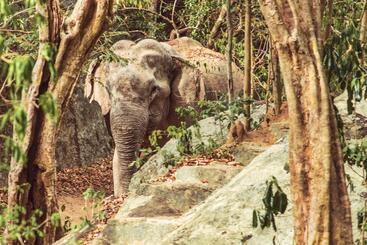 هتل Babar Point