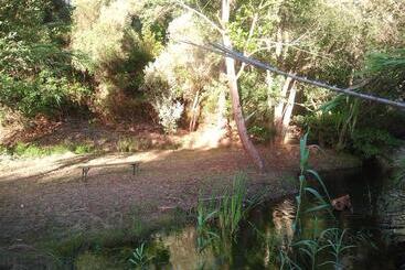 تختخواب و صبحانه Herdade Quinta Natura Turismo Rural