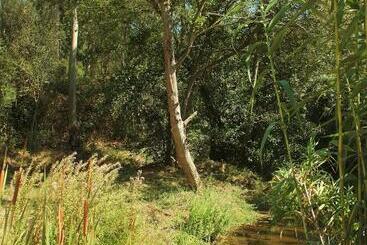 تختخواب و صبحانه Herdade Quinta Natura Turismo Rural