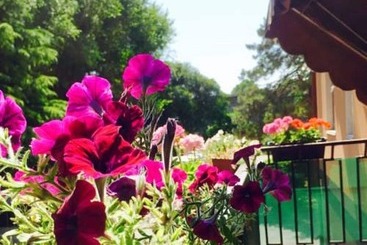 تختخواب و صبحانه Amore Rosa