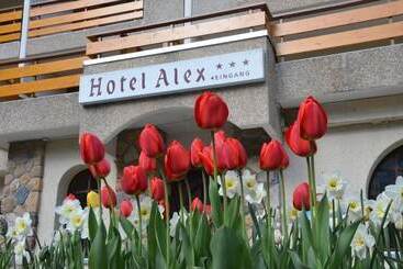 فندق Alex