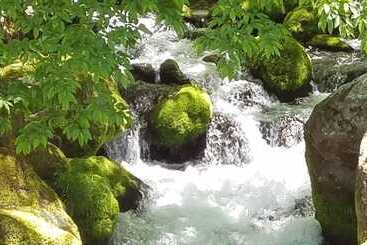 ریوکان Yamakanoyu