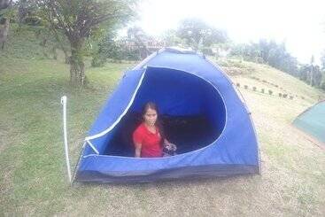 Al Hamra Jungle Resort