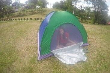 Al Hamra Jungle Resort