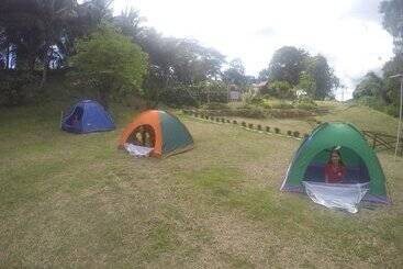 Al Hamra Jungle Resort