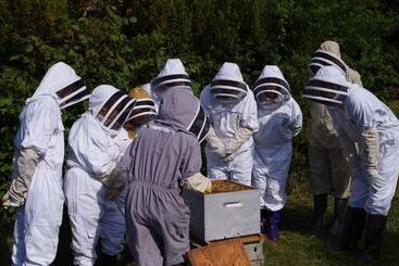 تختخواب و صبحانه 13 Bees