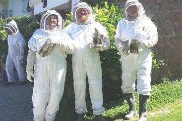 تختخواب و صبحانه 13 Bees
