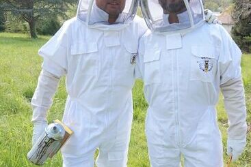 تختخواب و صبحانه 13 Bees