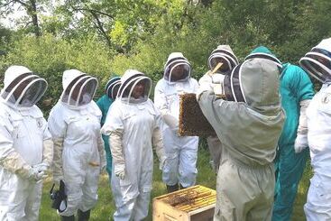 تختخواب و صبحانه 13 Bees