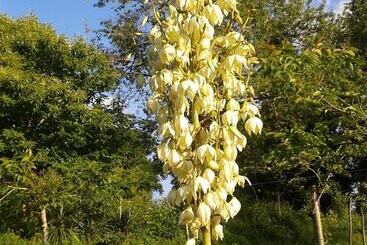 تختخواب و صبحانه 13 Bees