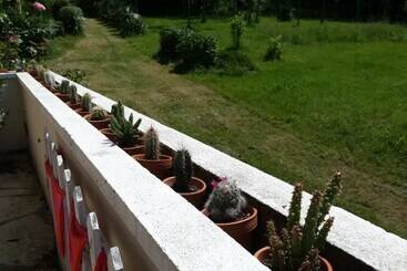 تختخواب و صبحانه 13 Bees