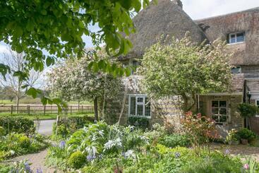 Tudor Cottage B&b Frampton