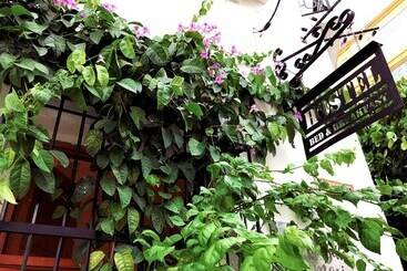 هاستل Casa La Bella Samaria Boutique