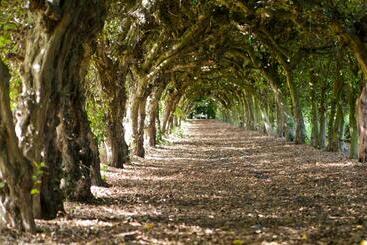 تختخواب و صبحانه Kasteel Aldenghoor