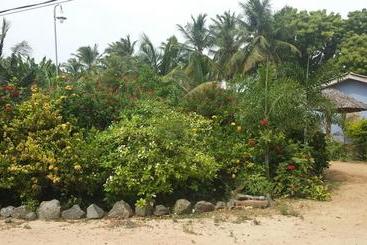 酒店 Island Breeze Inn