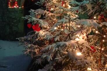 تختخواب و صبحانه Profum Di Bosc
