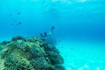 אתר נופש Kerama Terrace