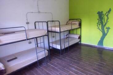 Hakuna Matata Hostel