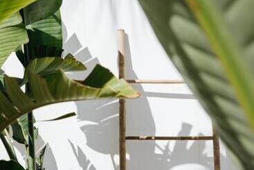 La Bohemia Del Rio Boutique Hotel   Adults Only