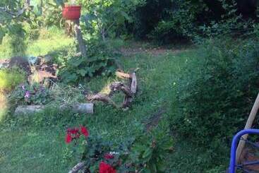 B&b Falcone