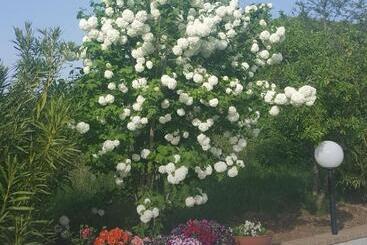 B&b Cuoreverde Pollino