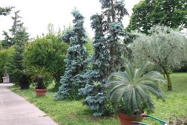 تختخواب و صبحانه San Giorgio Lazise