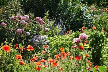 Bed & Breakfast Il Melograno