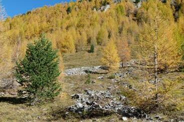 هتل Apart Garni Motnaida