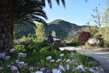 هتل Boutique Solaz Bella Vista De Colchagua