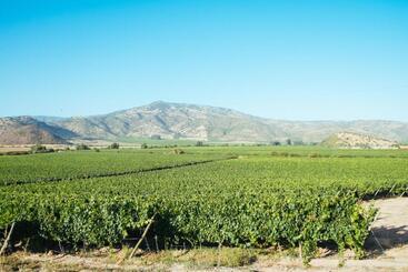 هتل Boutique Solaz Bella Vista De Colchagua