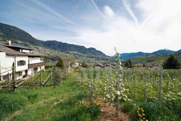 هتل Chalet Gravenstein