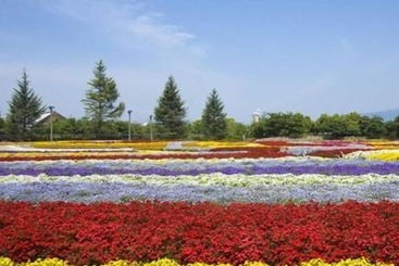 ریوکان Iine Hotel Resea Minamichita