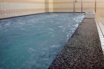 ریوکان Iine Hotel Resea Minamichita